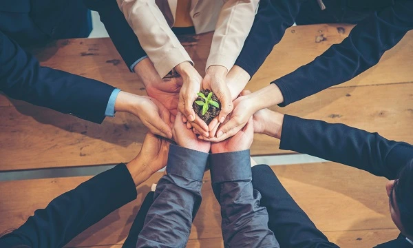 Adopting ecosystem collaboration to drive sustainability